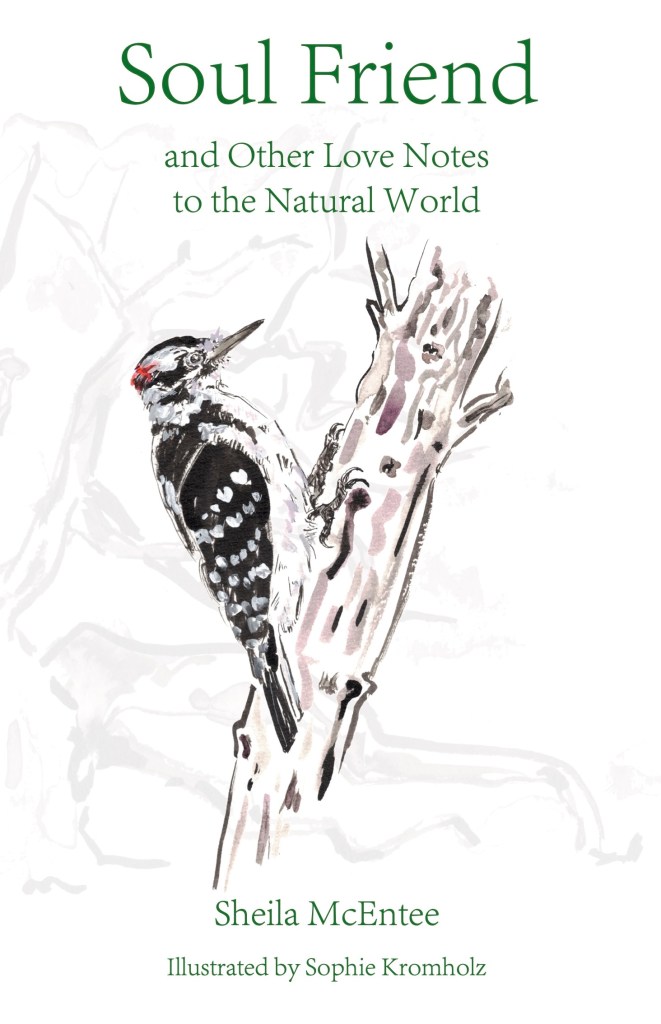 Cover of Soul Friend and Other Love Notes to the Natural Worl