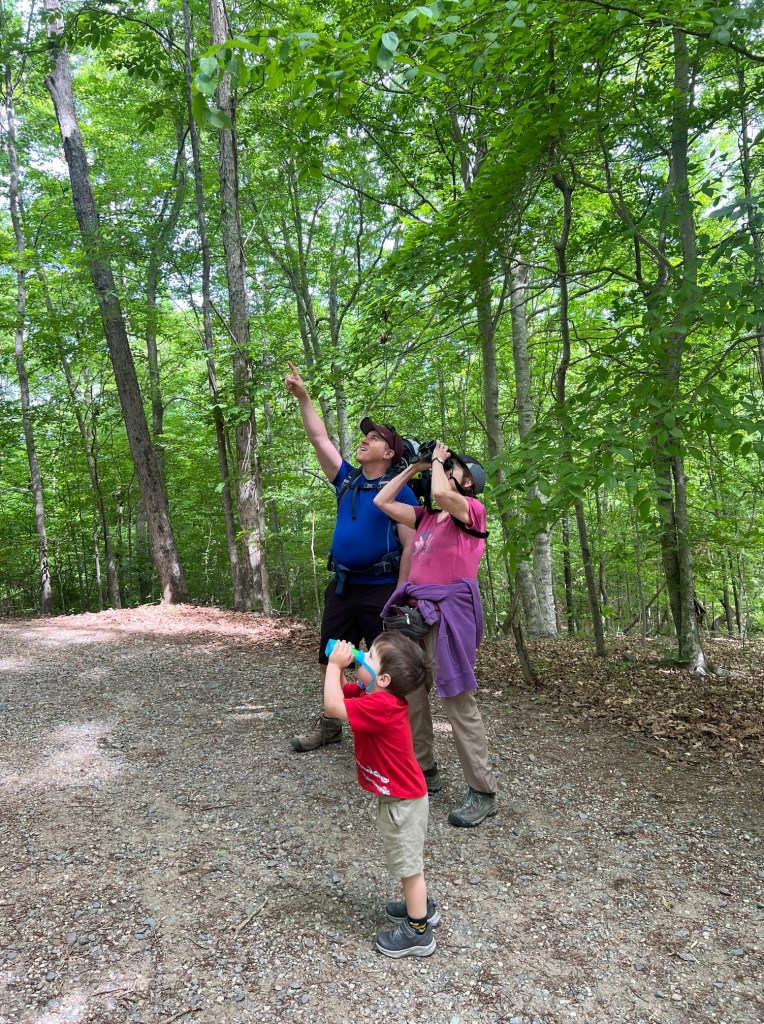 Three people, a man in a blue shirt, a woman in a bright pink shirt, and a young boy in a red shirt, are looking through binoculars at a bird (not pictured).