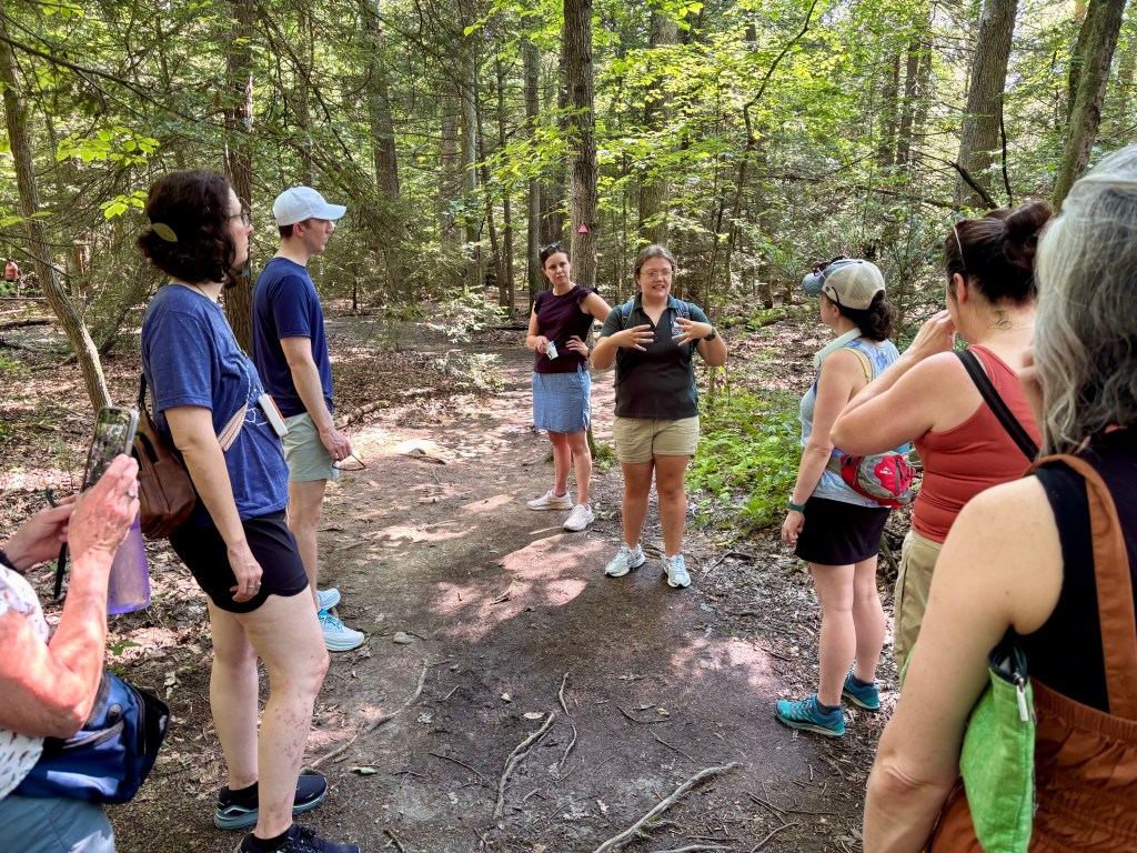 A group of people are on a nature trail facing the person leading the walk.