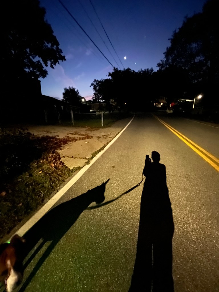 The shadow of a woman and her dog are cast on a highway. In the upper background there are three bright lights in the sky - the moon, Venus, and Jupiter.