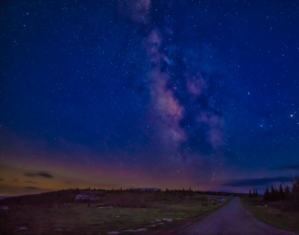 A night time sky full of stars and the milky way. There are shades of yellow and pink in the distance at the horizon. There are silhouettes of trees and a paved walkway or road in the foreground.