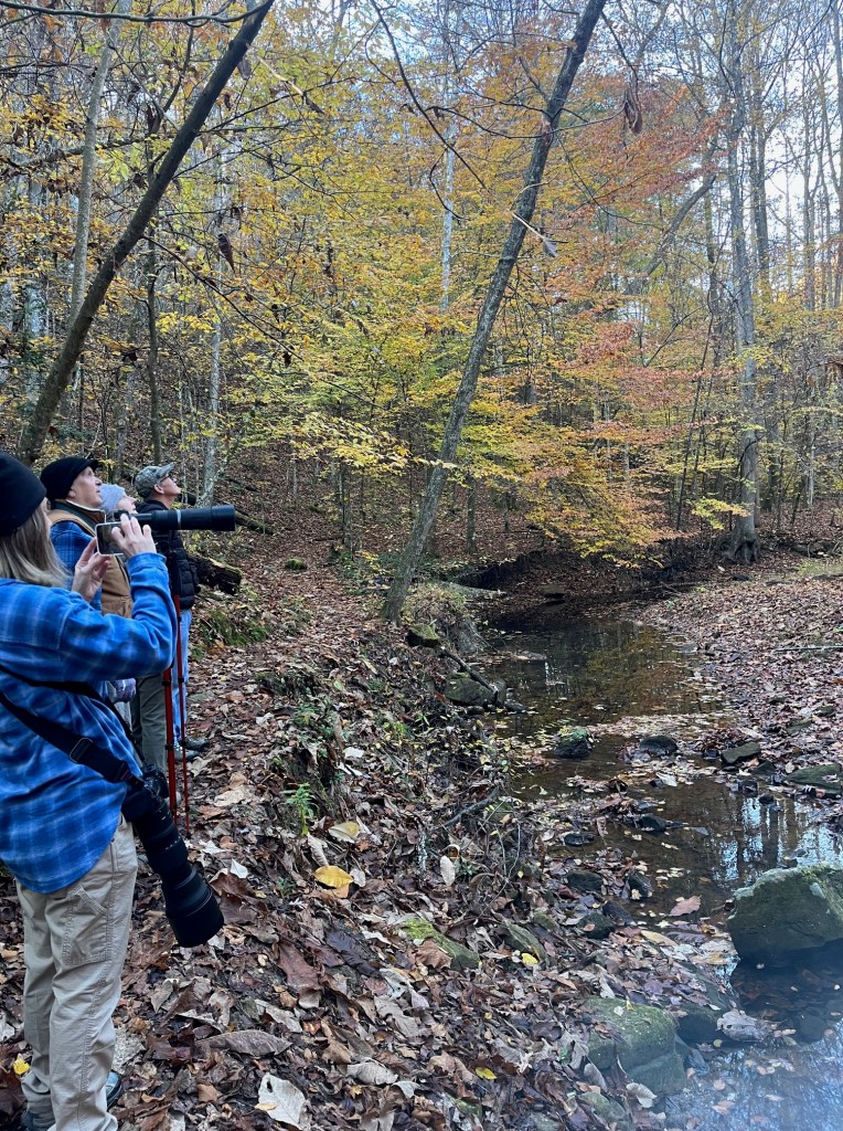 A mix group of men and women with cameras stand along the bank of a narrow stream with autumn foliage surrounding them.