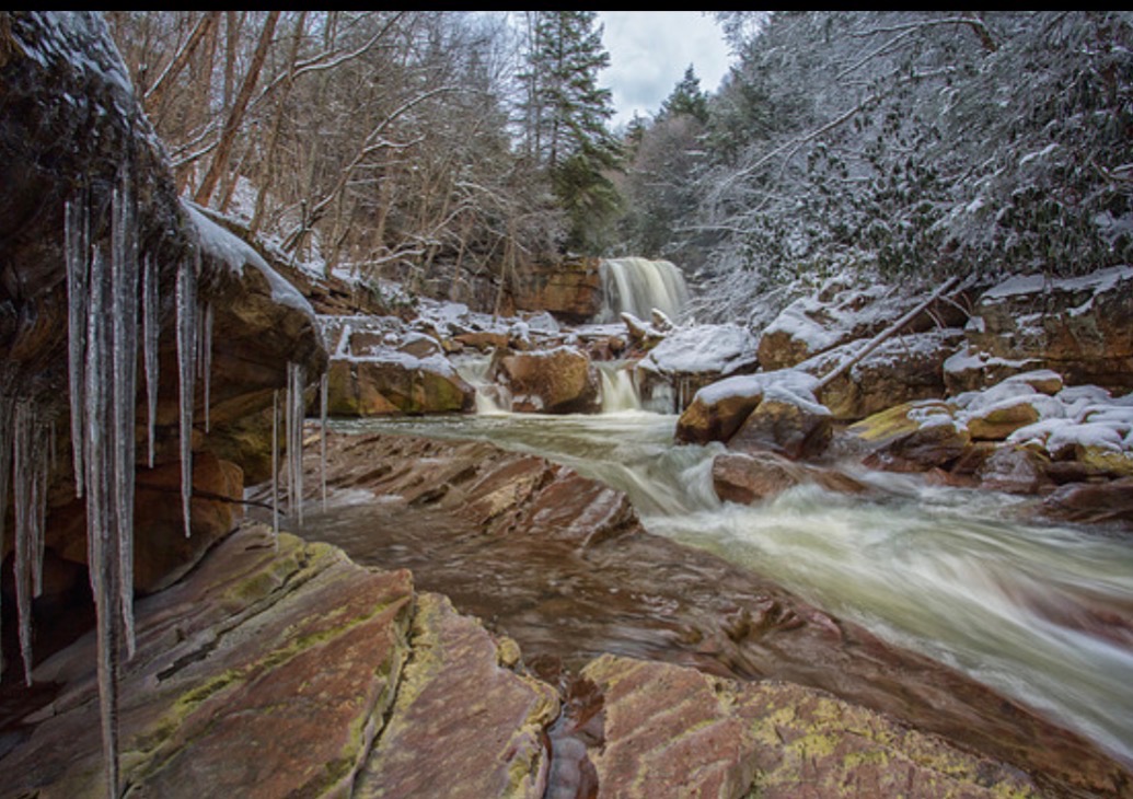 It is good to seek the beauty of a waterfall’s icy glaze, or the exquisite pinstripe of the puttyroot leaf, peeking out from beneath the snow. Particularly in the midst of tumult, the constancy of nature offers unfailing comfort.